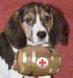 Rescue Biigle